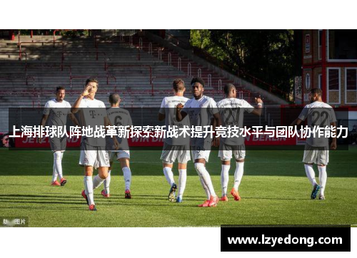 上海排球队阵地战革新探索新战术提升竞技水平与团队协作能力