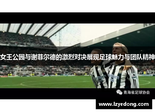 女王公园与谢菲尔德的激烈对决展现足球魅力与团队精神