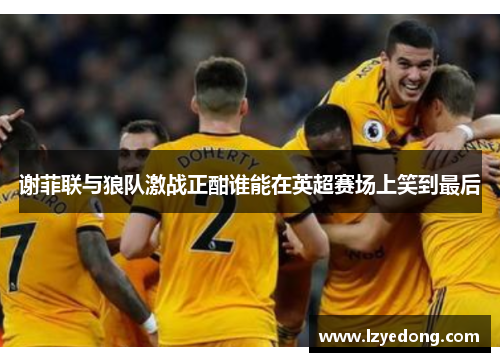 谢菲联与狼队激战正酣谁能在英超赛场上笑到最后